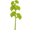 Fashion Felt Ginkgo Leaf – Mid Green Felt Flowers