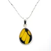 Hot King Swallowtail Butterfly Wing Necklace Necklaces