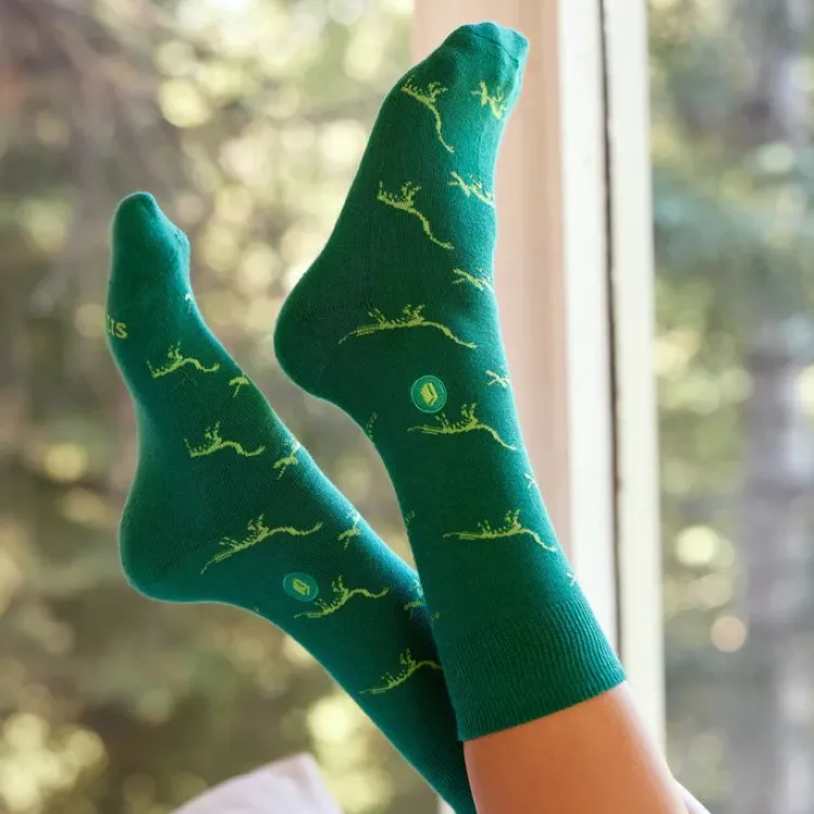 Hot Socks That Give Books Green Dinosaur Socks
