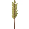 Outlet Soft Green Felt Olive Branch Felt Flowers