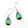 Clearance Three-Toned Prepona Butterfly Wing Earrings Earrings