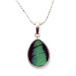 Discount Three-Toned Prepona Butterfly Wing Necklace Necklaces