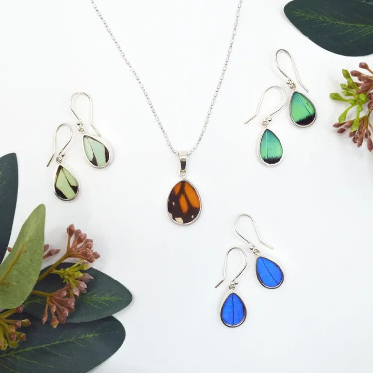 Clearance Three-Toned Prepona Butterfly Wing Earrings Earrings